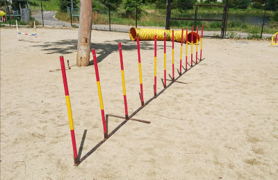 ウィービング・ポール(スラローム)