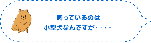 飼っているのは小型犬なんですが・・・