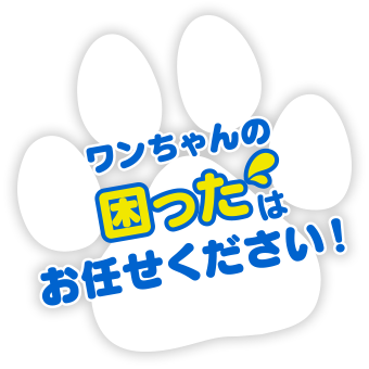 ワンちゃんの困ったはお任せください!