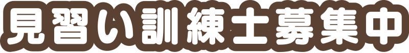 見習い訓練士募集中