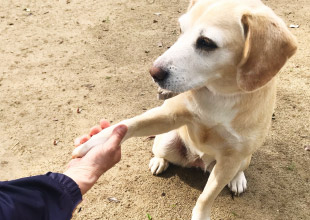 基本訓練(4ヶ月目~)
